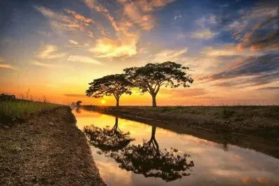 PAISAJE jigsaw puzzle