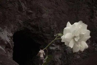 ROSA BLANCA