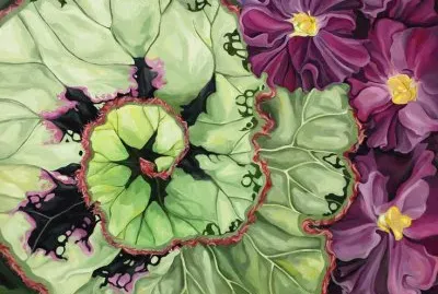 Begonia with African Violet 's
