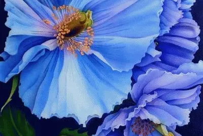 Pretty Purple jigsaw puzzle