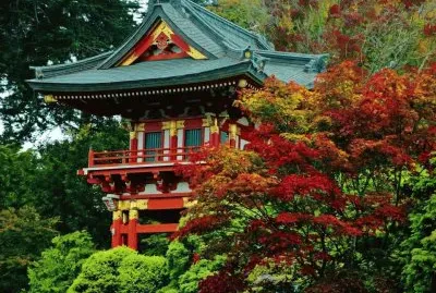 jardin