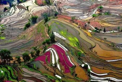 NATURALEZA ARTÃSTICA.