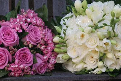 fleurs