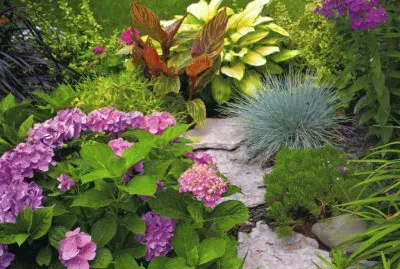 JardÃ¬