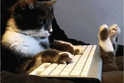 פאזל של why did I have to eat the mouse?