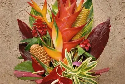 fleurs