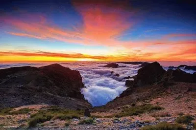 Beautiful jigsaw puzzle