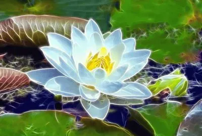 Fractal Water lily jigsaw puzzle