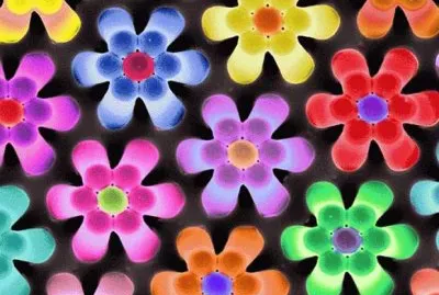 Flores