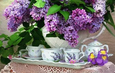 פאזל של chÃ¡