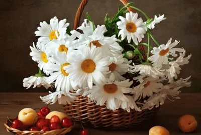 margaridas jigsaw puzzle