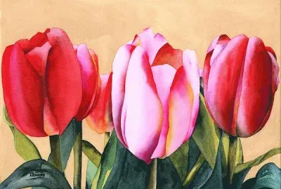 Summer Tulips