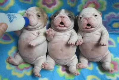 - quanta beleza!