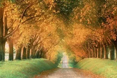 - natureza,(ooy)