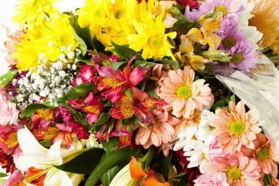 20 de junho jigsaw puzzle