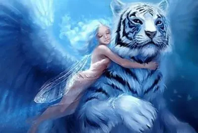 פאזל של tigre