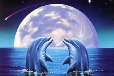פאזל של delfines