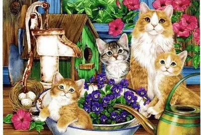 gatinhos