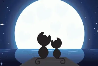 פאזל של gatitos