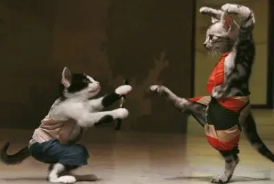 פאזל של gatos