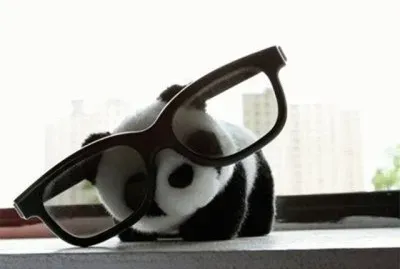 panda1