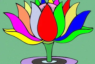 LÃ­rio d 'Ã¡gua Colorido