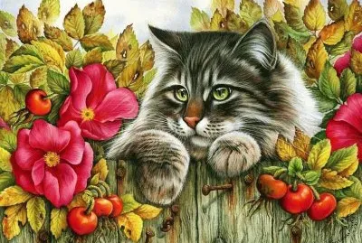 פאזל של gato