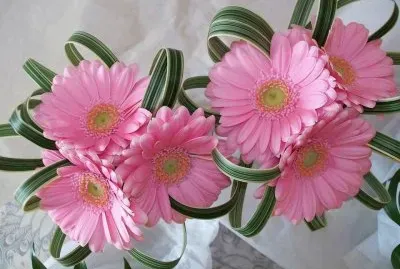 fleurs jigsaw puzzle