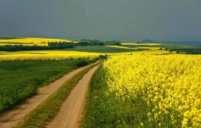 Denmark jigsaw puzzle