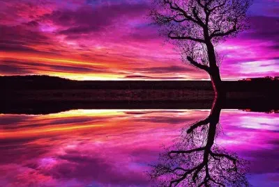 Purple Color jigsaw puzzle