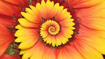 Nature 's Wondrous jigsaw puzzle