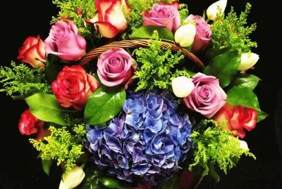 fleurs