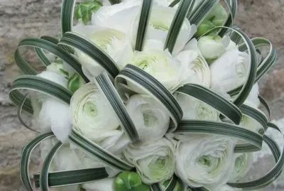 fleurs