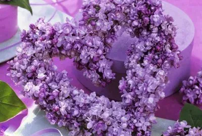 fleurs