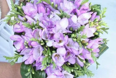 fleurs