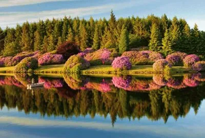 natureza