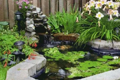 JardÃ¬