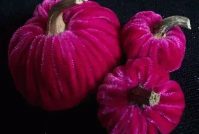 Purple Pumpkins