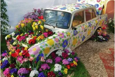 Car Garden