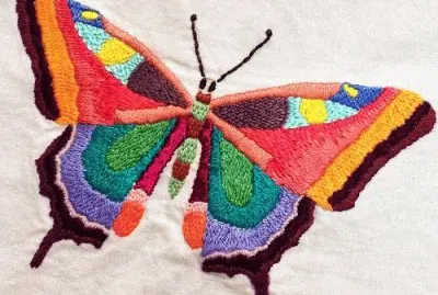 Color Butterfly
