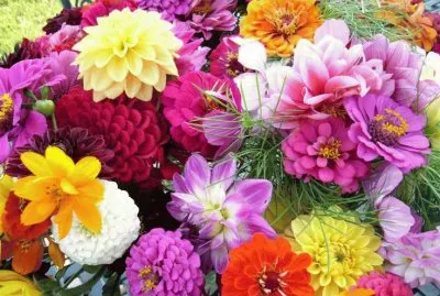 Flower Garden