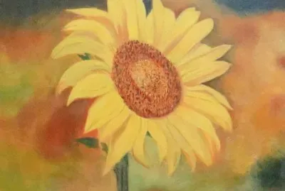 èŠ±é¡èŠ±èªž