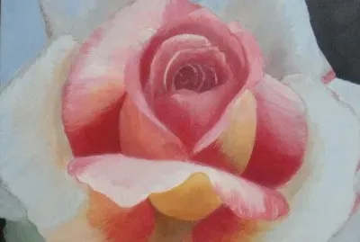 èŠ±é¡èŠ±èªž