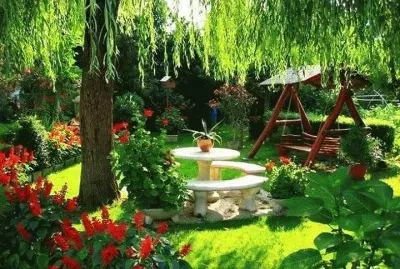 jardim jigsaw puzzle