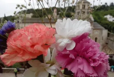 Temps de Flors 2014