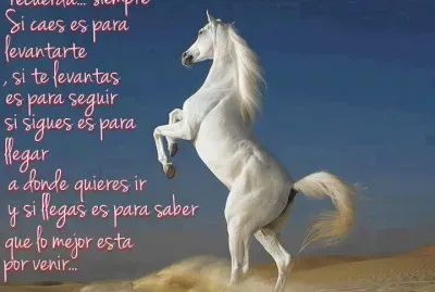 ImÃ¡genes que ayudan a ser mÃ¡s feliz!!!