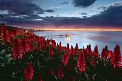 - deslumbrante jigsaw puzzle