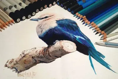 - desenho.....
