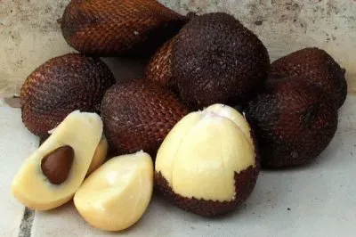 Salak fruit from Indonesia