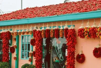 Chili shop  New Mexico  USA